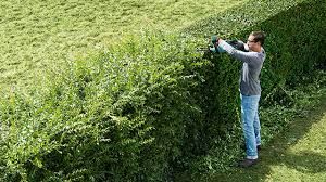 Косене на трева подрязване на храсти почистване на места