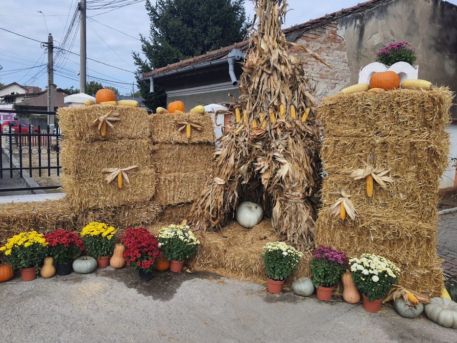 Dovleci decorativi, tărtăcuțe si decoratiuni de toamnă