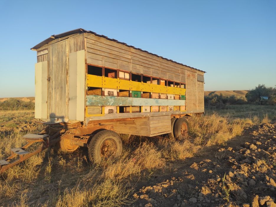 Прицеп пчеловодный, пчелопавильон