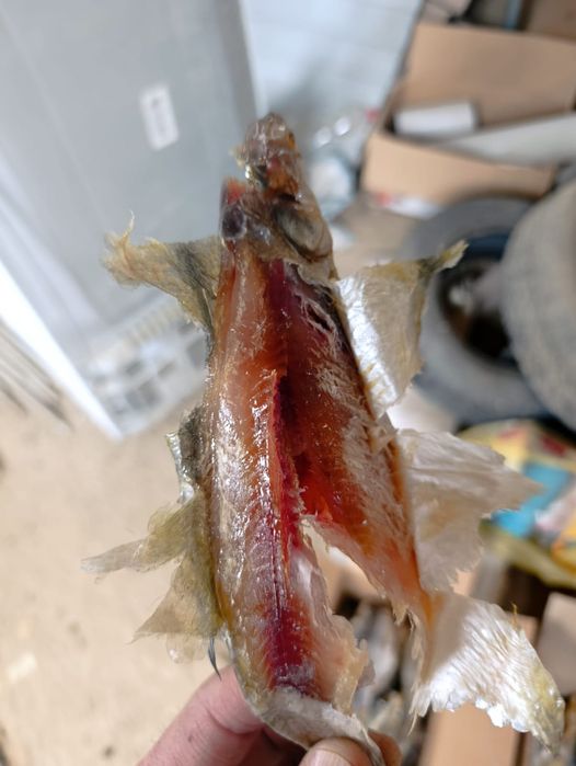 Сушенная рыба ребец