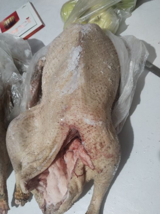 Продам гусеи тушки среднего веса