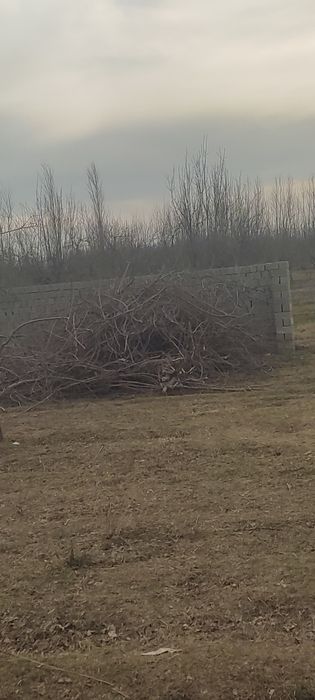 Срочно о́тин сотилади