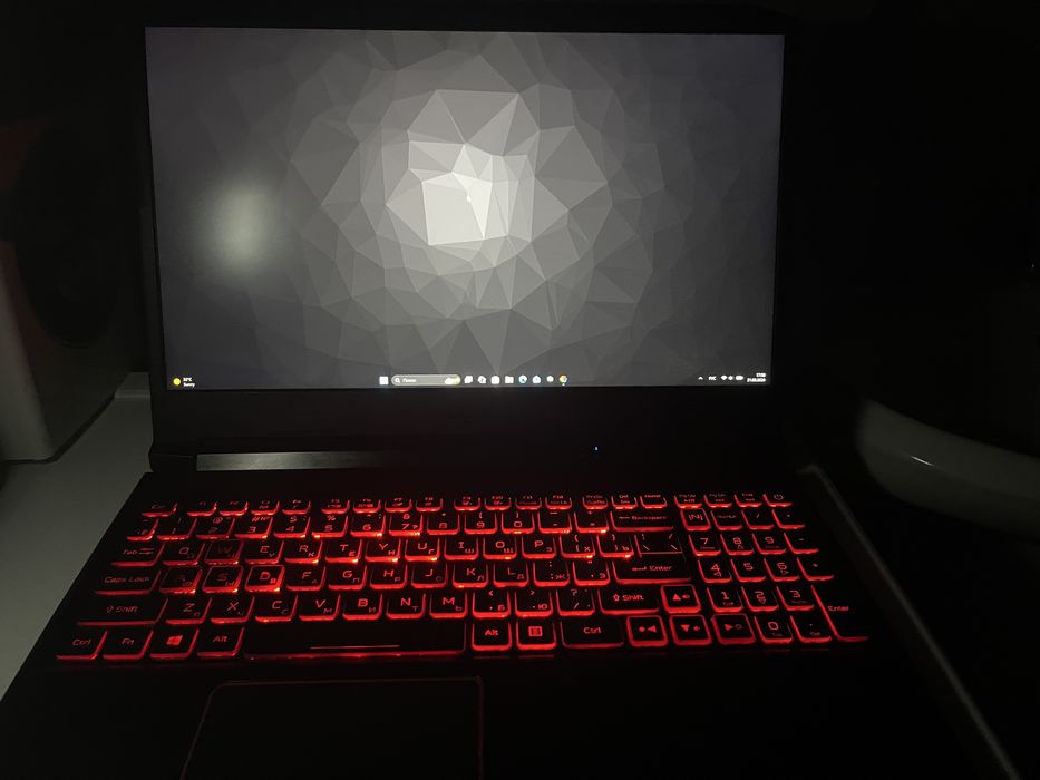 Acer Nitro 5 AN515-55