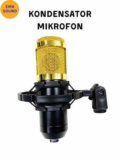 Mikrofon ( BM 800)+Ovoz kartasi ( V8S )