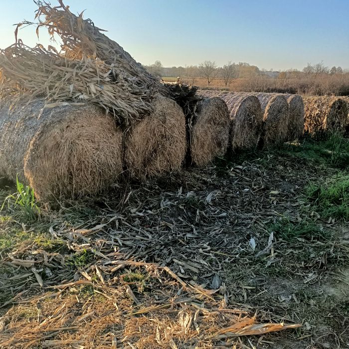 Baloți.  De.   Vanzare