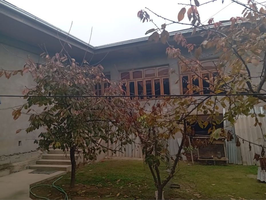 Янгийул ш. Участка