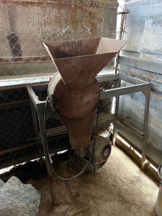 фуражомелка чукова