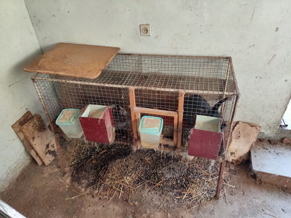 Quyon kletka, куен клетка, клетка для кроликов