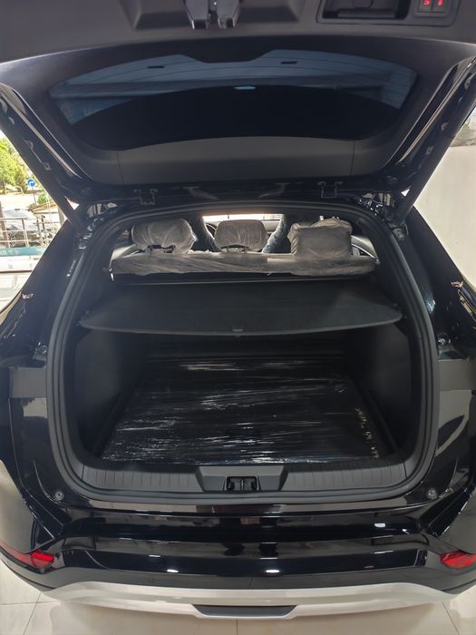 Продается Биваеди чемпион гибрид 2024/2025