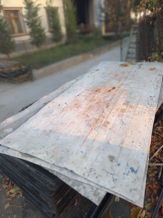 Apalubka lisa mishalka stoyka