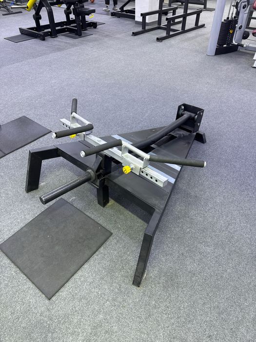 Professional trenajorlar