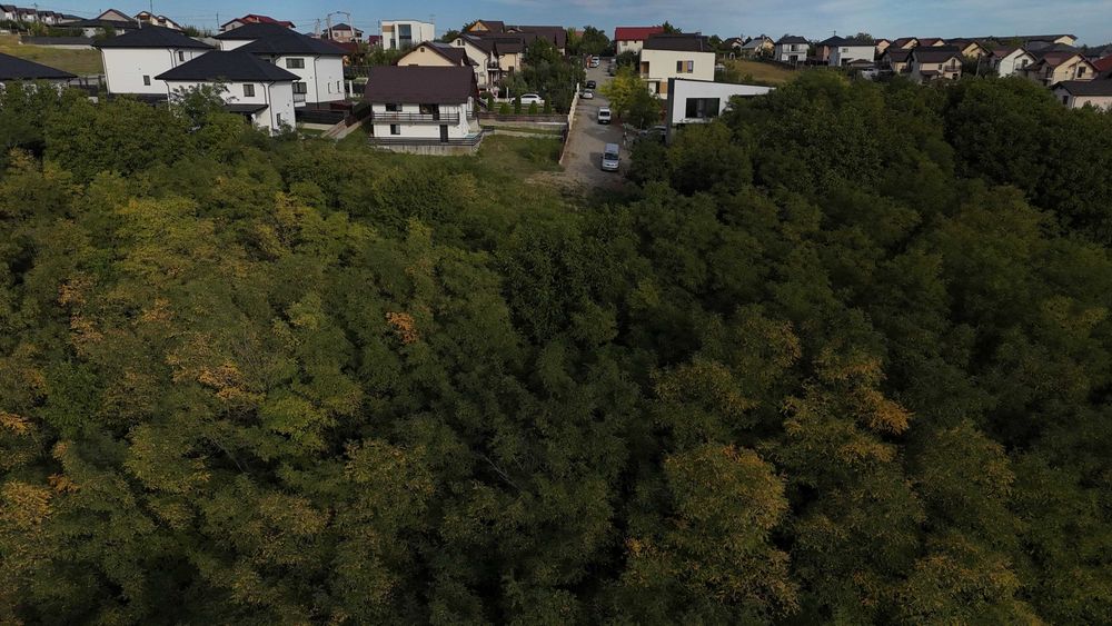 Casă din 2018 cu pădure