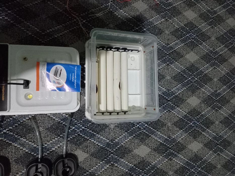 Сотилади инкубатор хизматими бор орзон ва сифатли