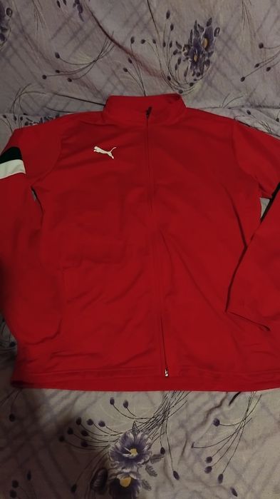 Trening Puma Team Rise FZ rosu L