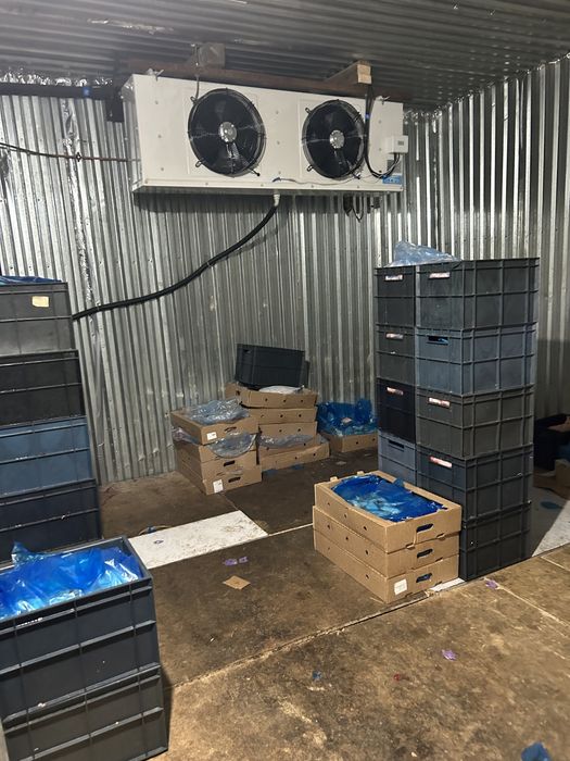 Холодильные камеры