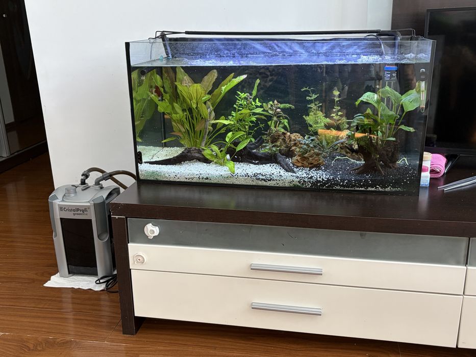 Acvarii 44 l si 112 l