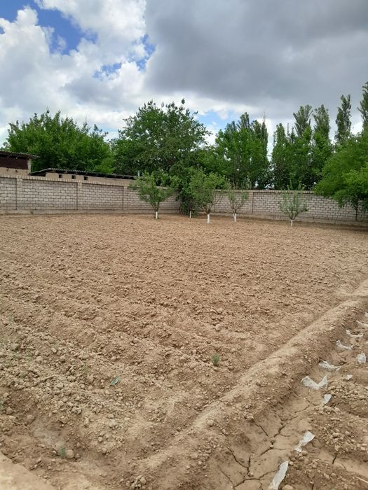 Quruq yer ( 8 sotox )sotiladi.