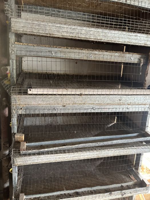 Клетка для перепелок