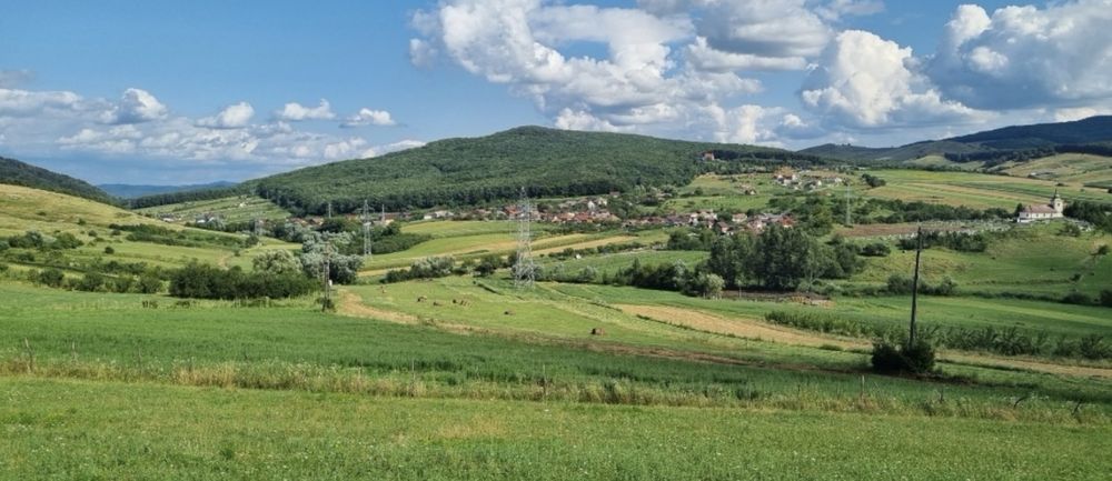 Teren extravilan