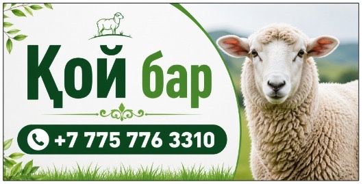 Арашан козылар сойып беру бар