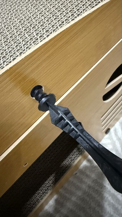 Когтеточка кошачья