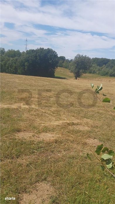 RECO, Teren intravilan, zona Sinteu, 2 Km de Huta Slavia