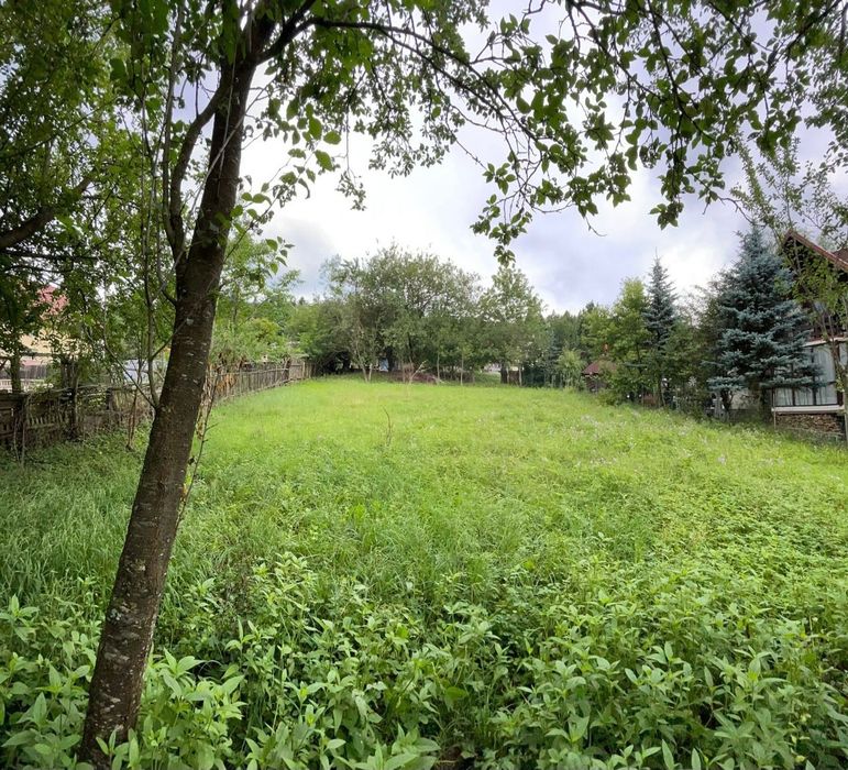 Teren Sinaia-Platou Izvor