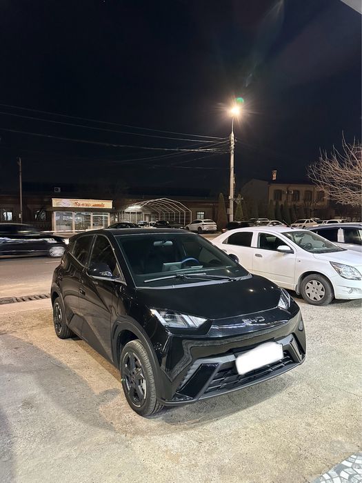 Byd seagull 2024