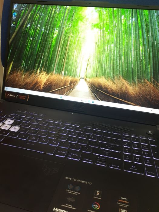 Laptop Asus Gaming Tuf F17 (vl) star amanet