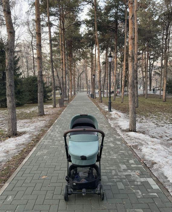 Коляска easywalker charley