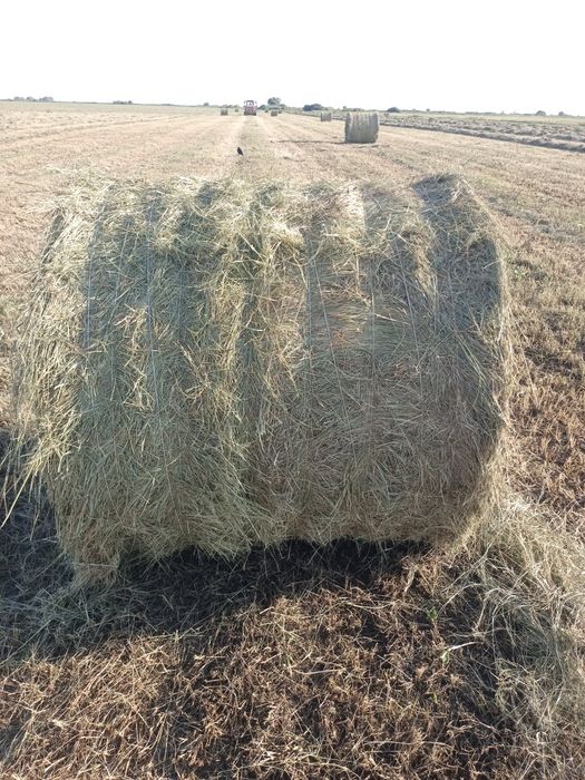 продам сено в рулонах