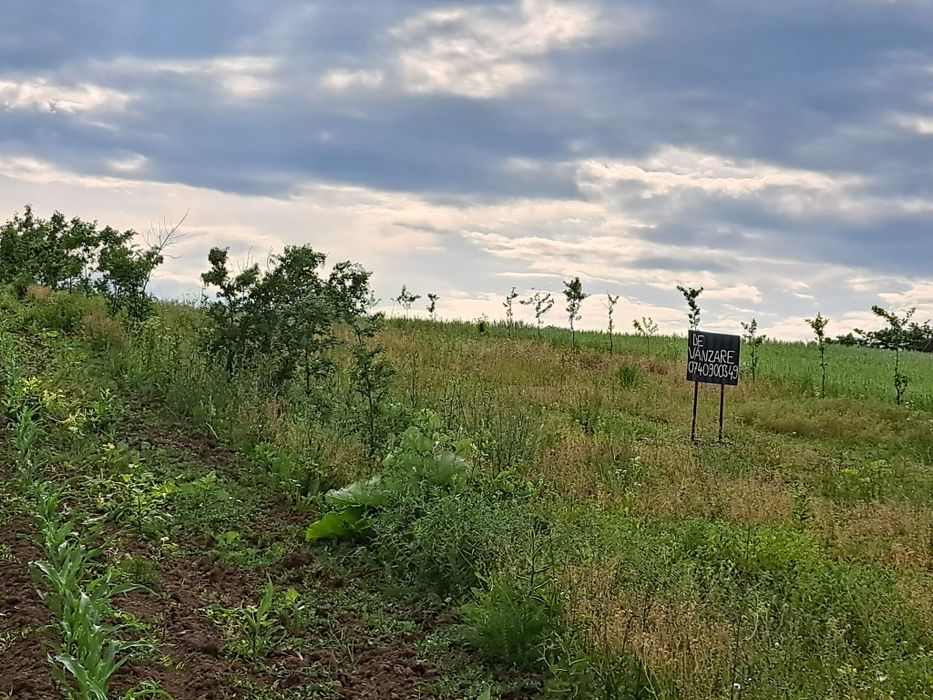 2900m2 teren intravilan in comuna Ion Creanga jud Neamt