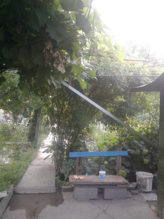 Продажа дачного участка