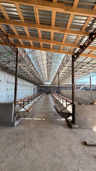 Ферма сотилади 18 сотих янгийул халкабодда