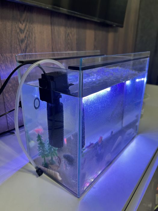 Аквариум с рыбками