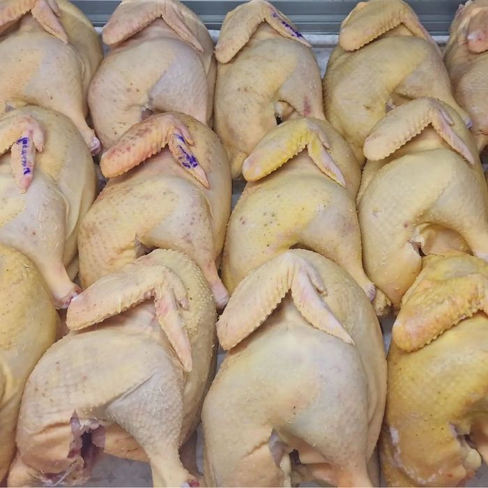 Мясо домашней птицы