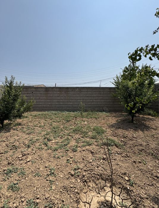 Sergili qoyliq massiv-5 buyuk avlod