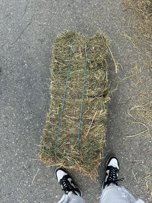 Baloți lucernă și fân