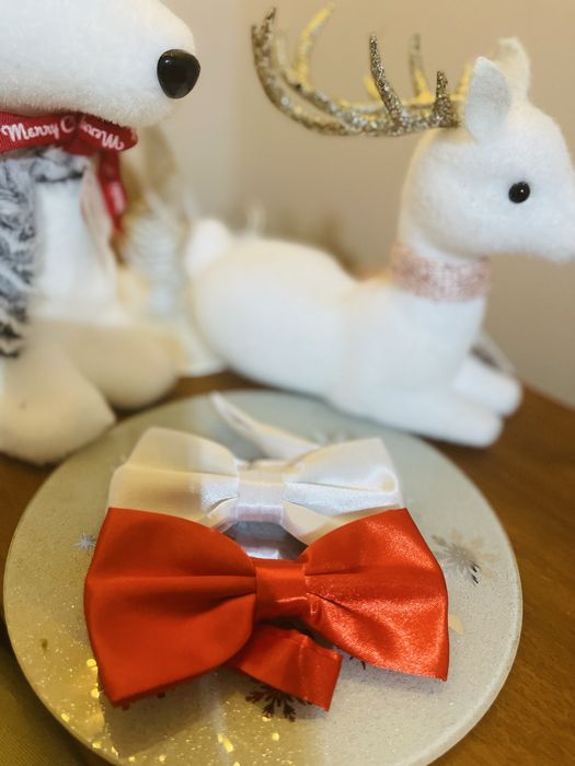 Папионки червена и бяла детска