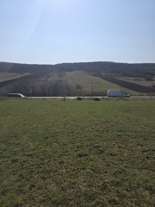 Teren 2.5Ha Hereclean