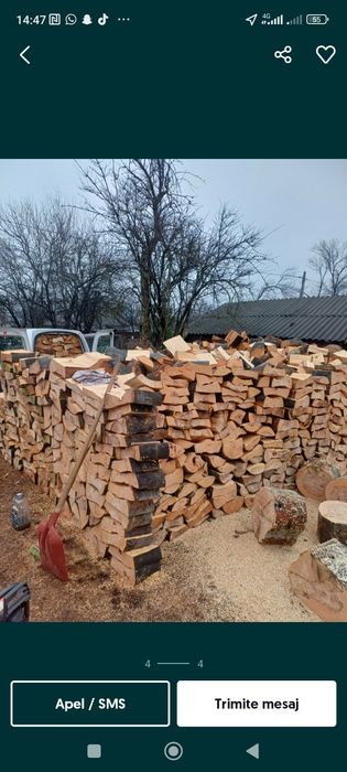 Lemn de foc fag 600 tona sau la metru ster