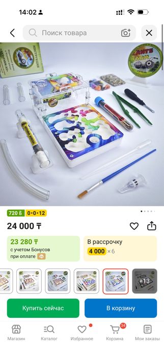 Муравьиная ферма