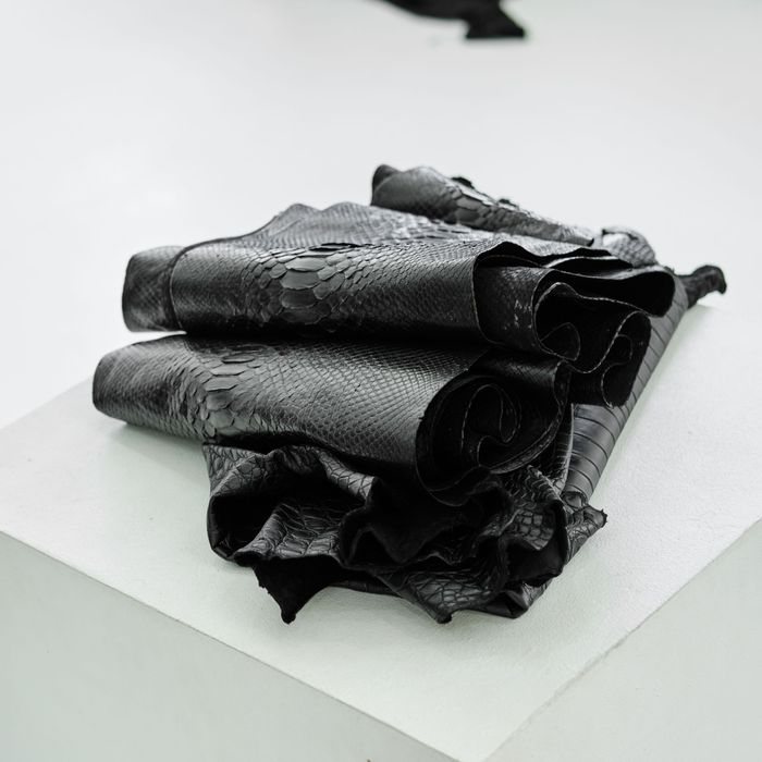 Натуральная кожа рептилий и аксессуары из них