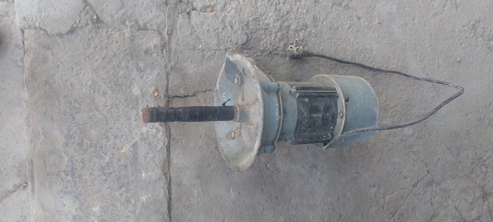 Агилель российский