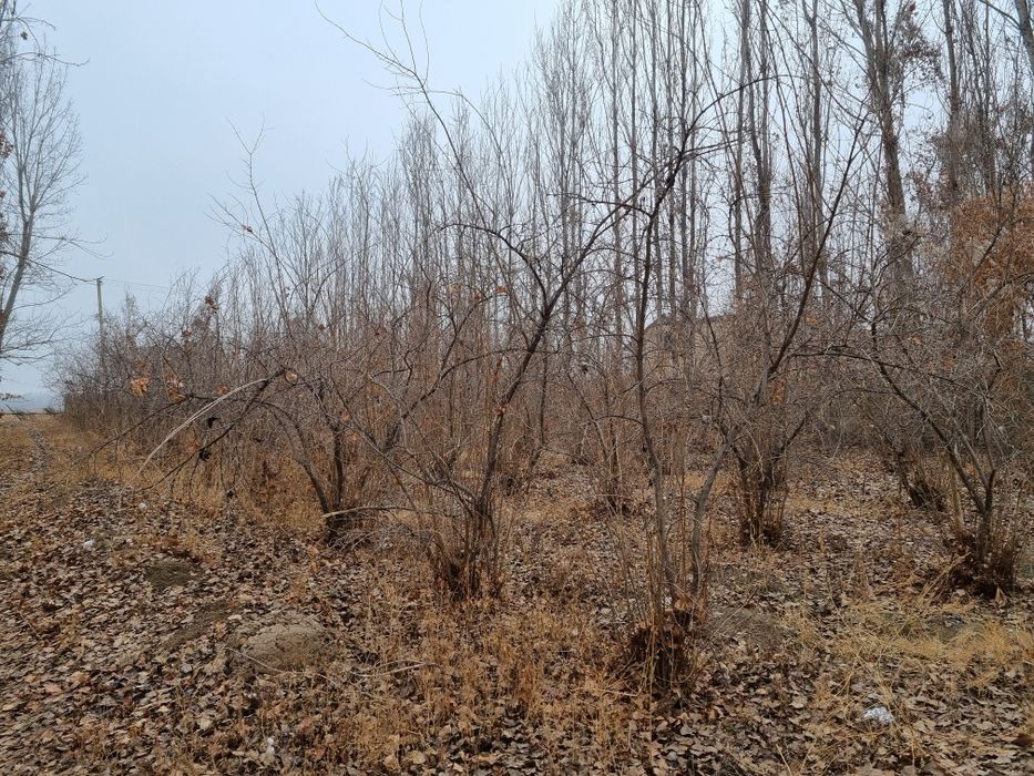 Xujjatlari tayyor 10 sotix yer uchastkasi sotiladi  tel