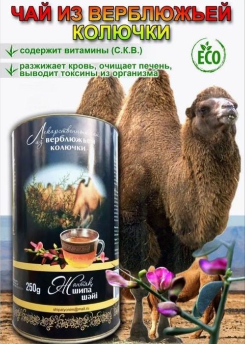 Жантақ Шай Верблюжья Колючка Чай натуральный 250гр здоровье