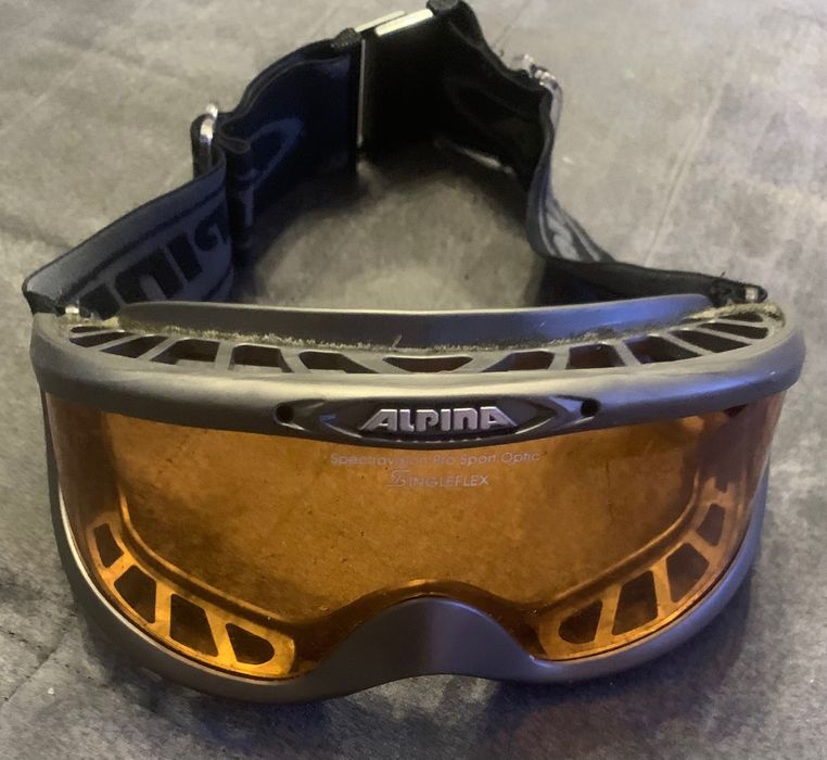Очила за ски Sinner, Alpina