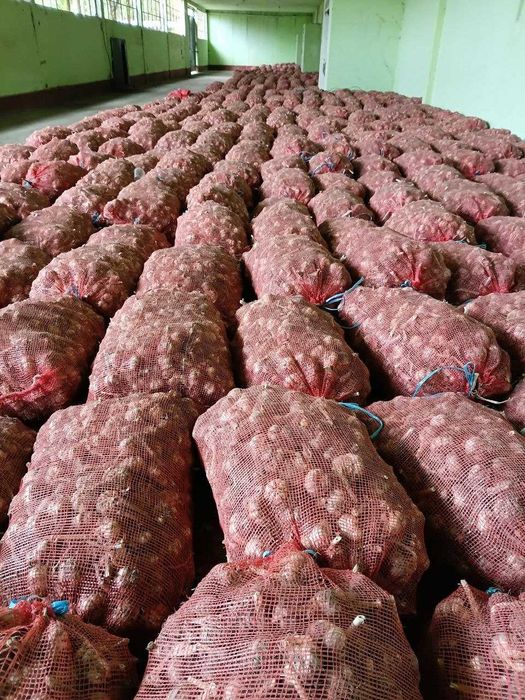 очень вкусный чеснок