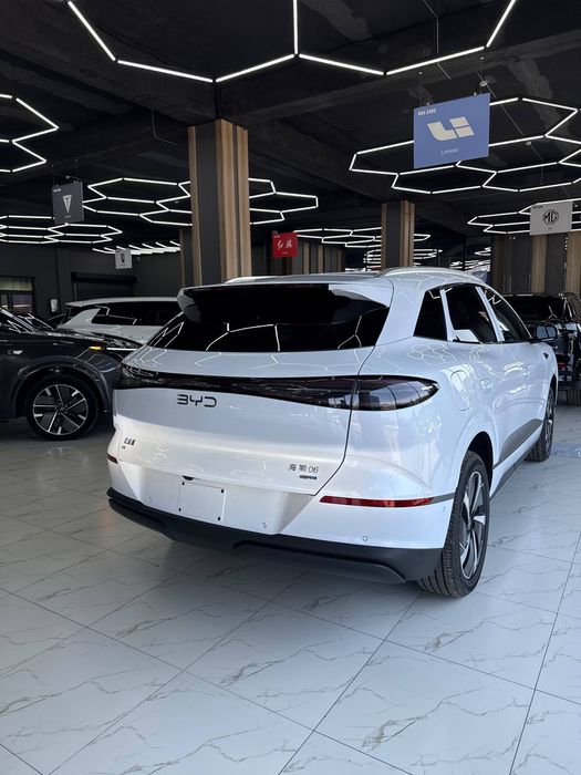 Byd Sealuon 06 full 605 zapas xodli