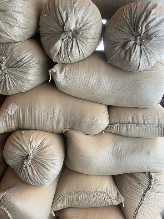 Апелка кебу қара ағаштың